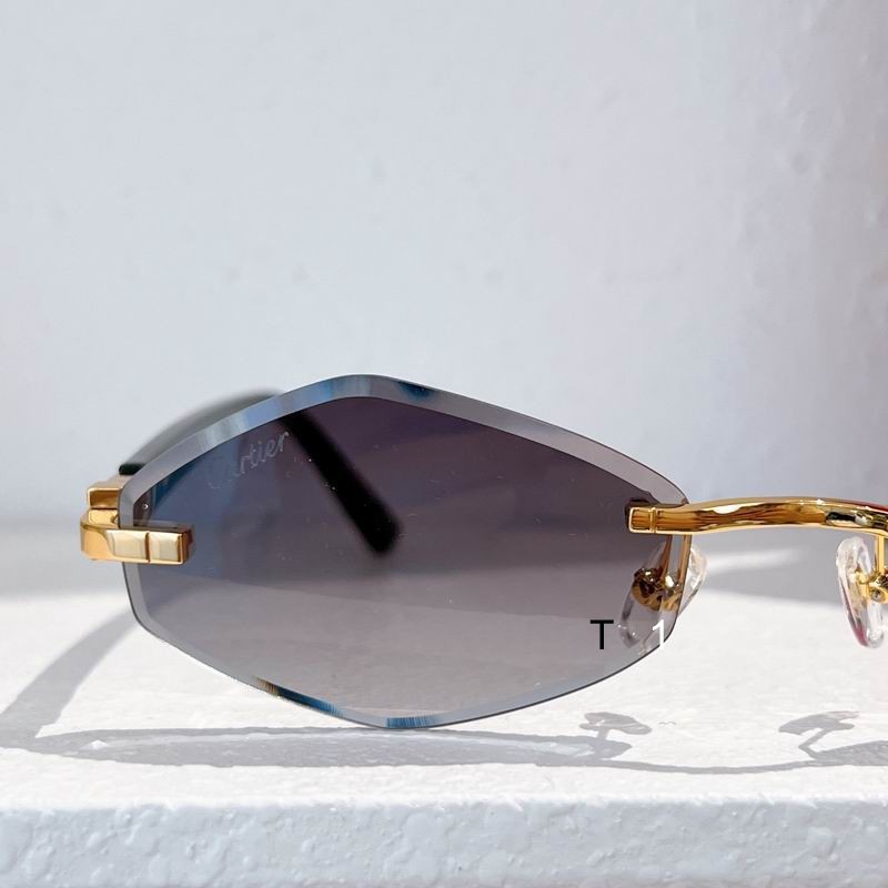 Cartier CT0901S 59-21-145 a13