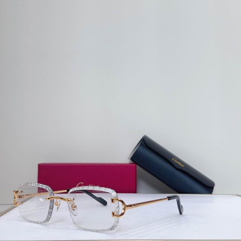 Cartier ModCT0696 g01