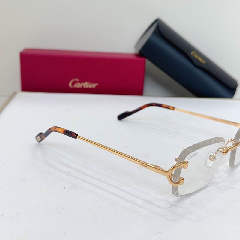 Cartier ModCT0696 g05