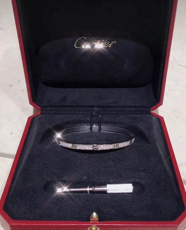 Cartier bracelet 09yxq01 (3)