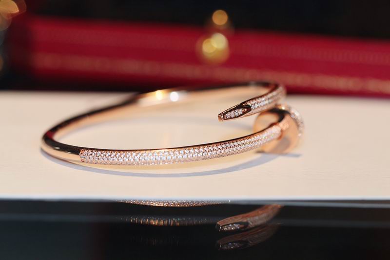 Cartier bracelet 09yxq02 (4)