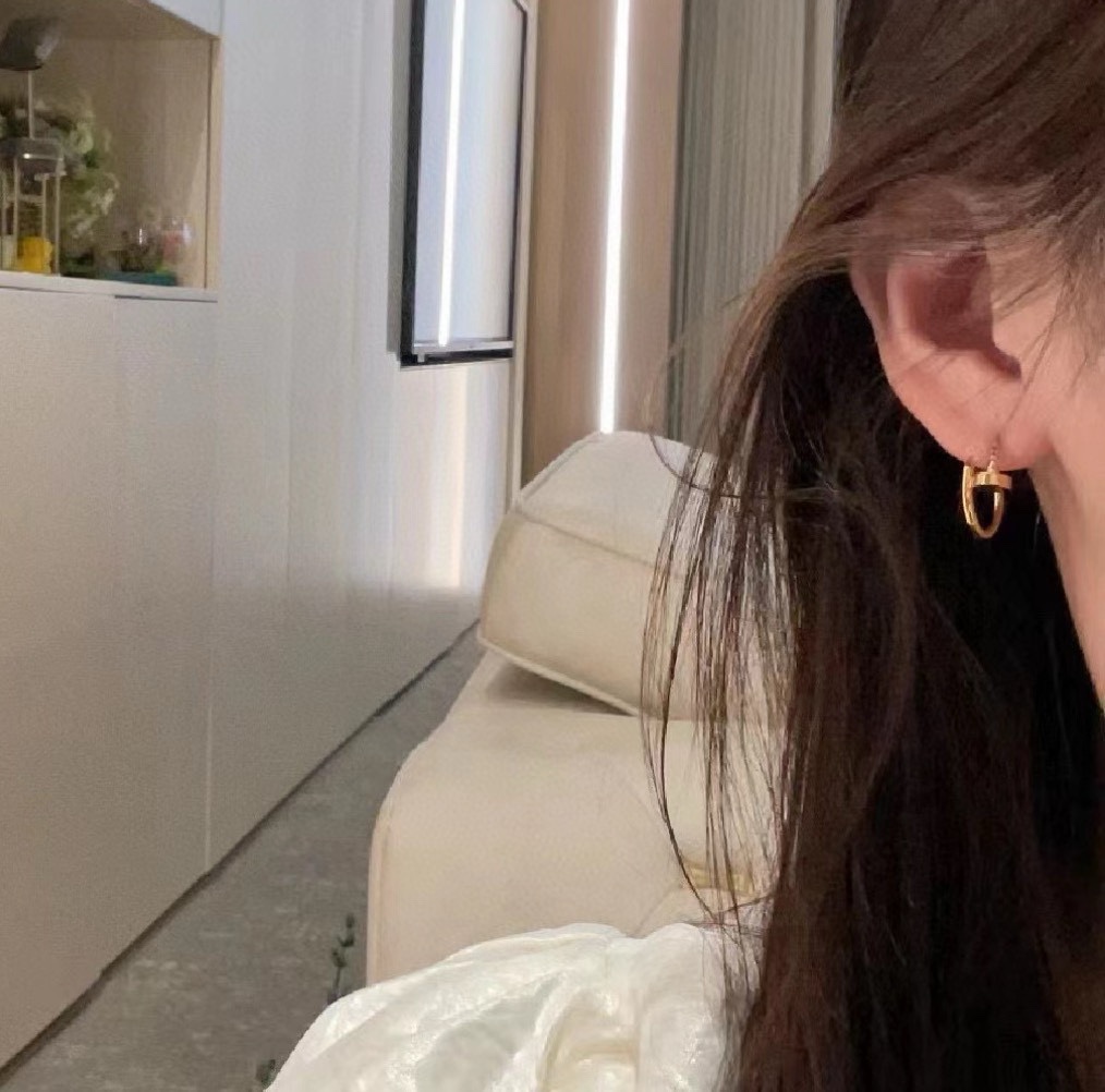 Cartier earring 07yxq04 (4)