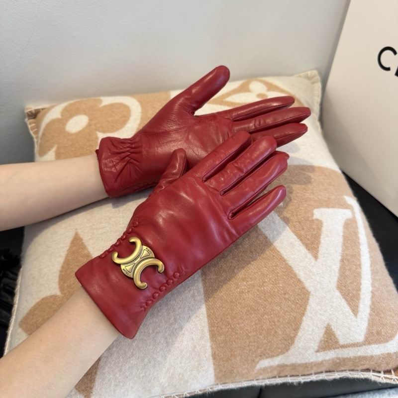 Celine Gloves hm (14)