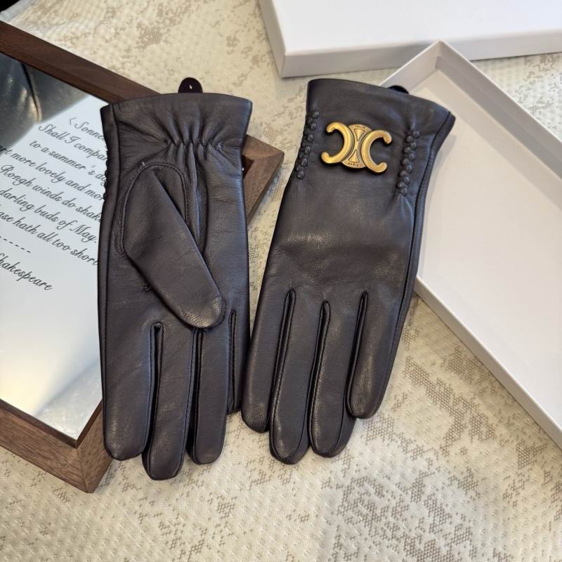 Celine Gloves hm (16)