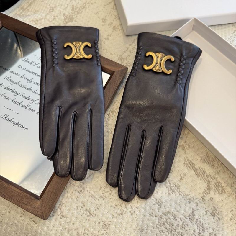 Celine Gloves hm (17)