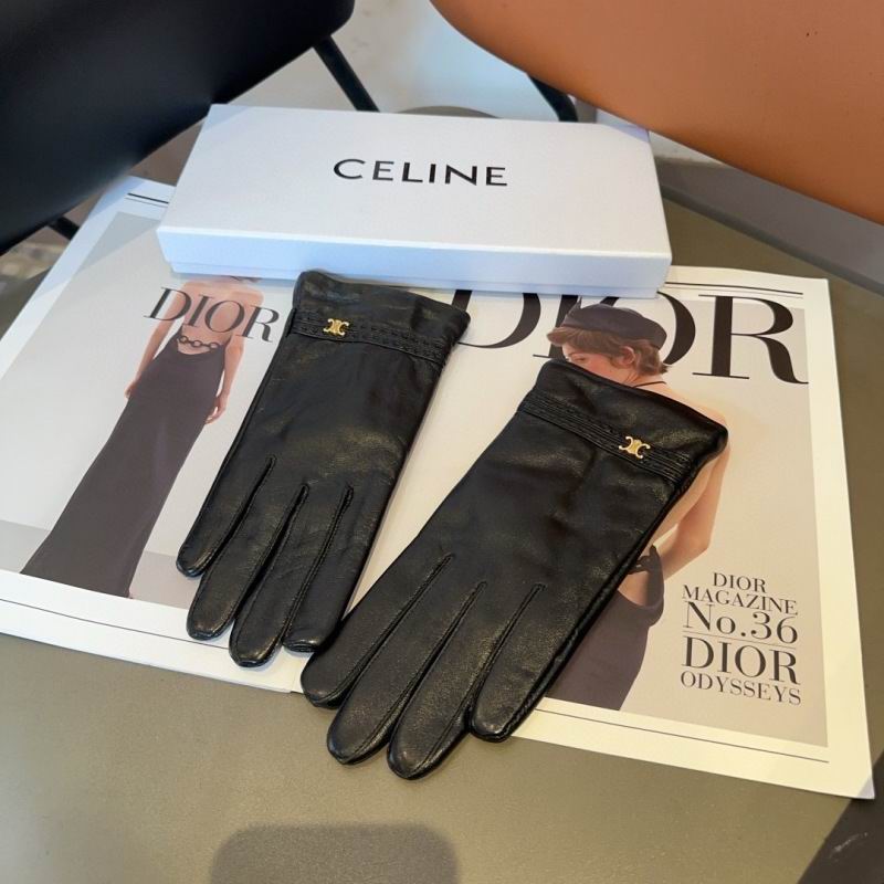 Celine Gloves hm (21)