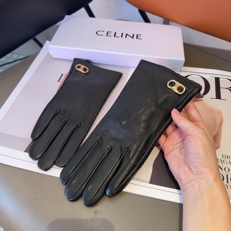 Celine Gloves hm (24)