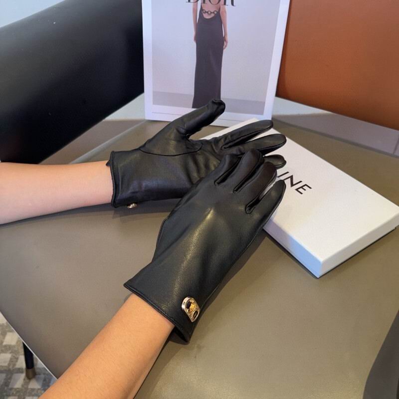 Celine Gloves hm (25)
