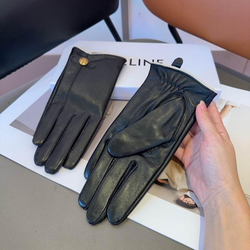 Celine Gloves hm (26)