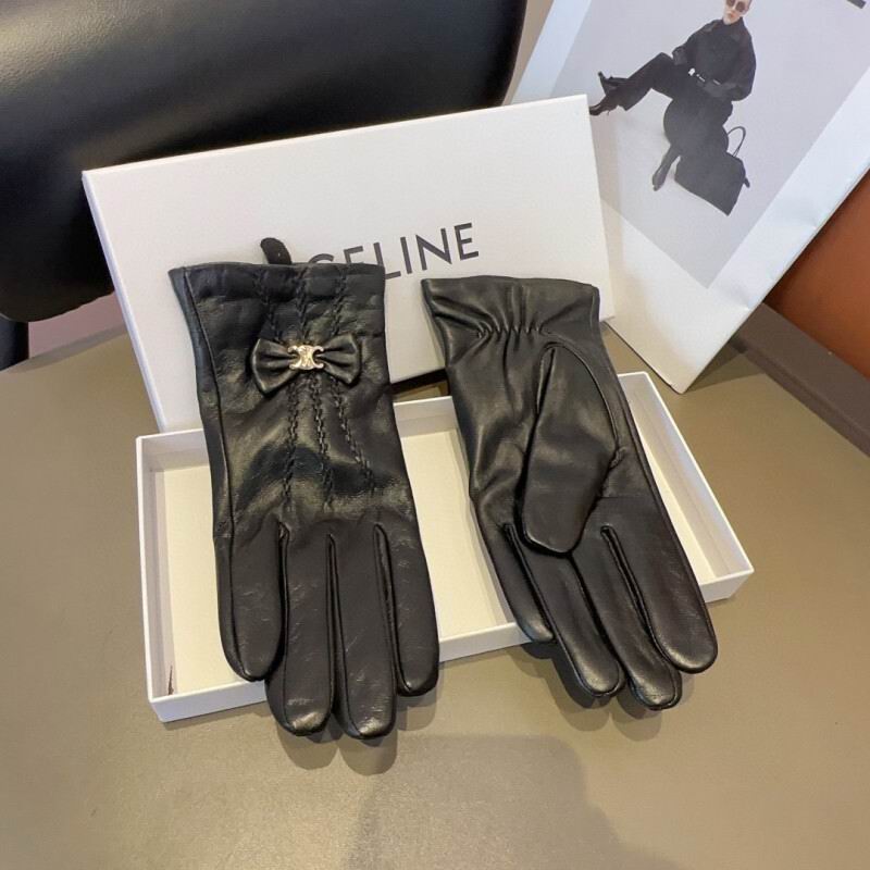 Celine Gloves hm (29)