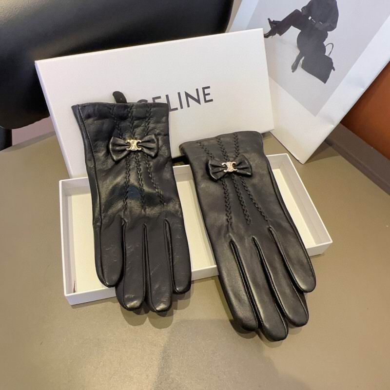 Celine Gloves hm (30)
