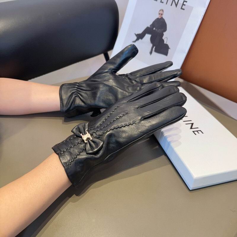 Celine Gloves hm (31)