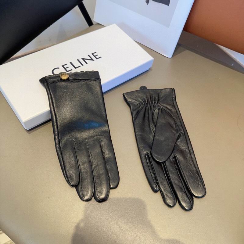 Celine Gloves hm (32)