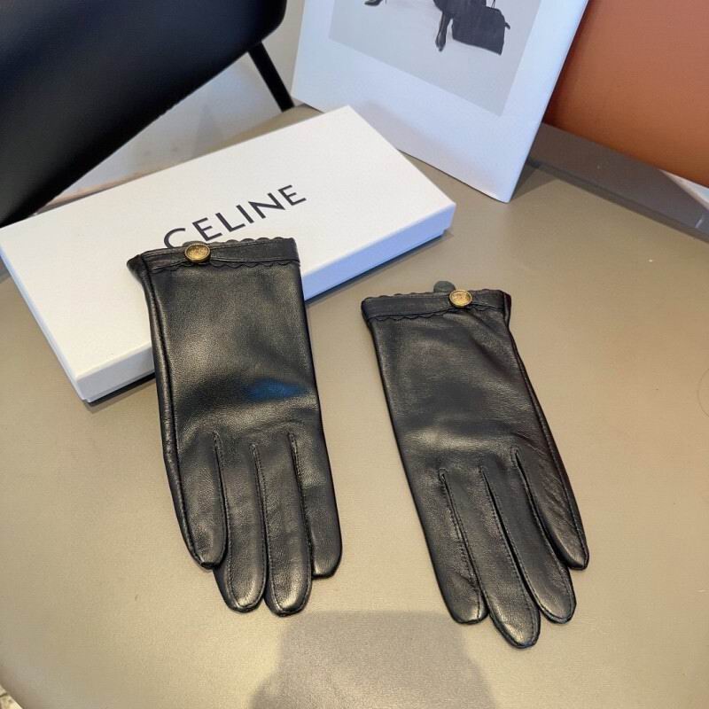 Celine Gloves hm (33)
