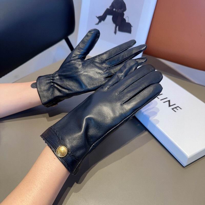 Celine Gloves hm (34)