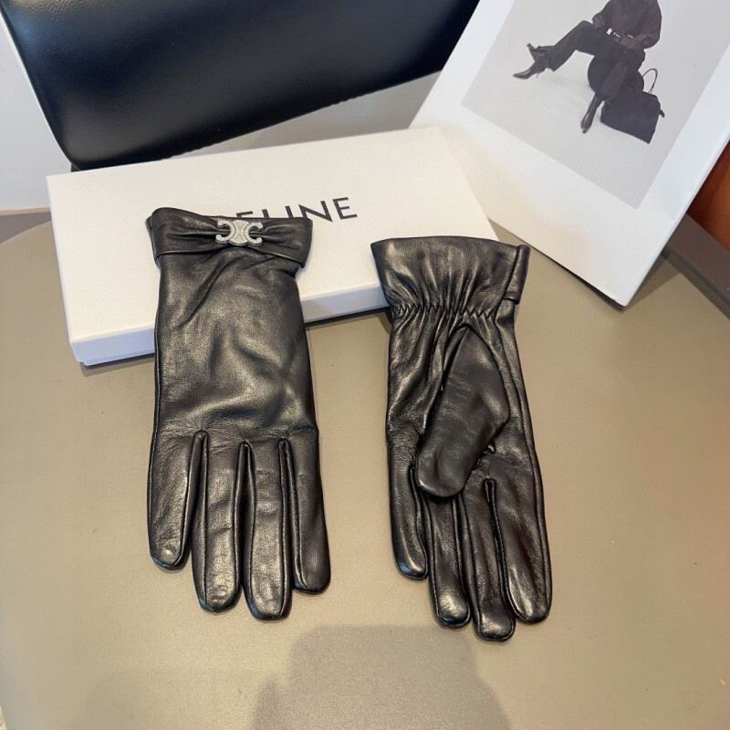 Celine Gloves hm (35)