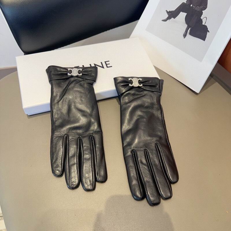 Celine Gloves hm (36)