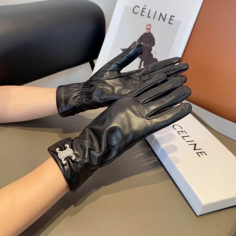 Celine Gloves hm (37)