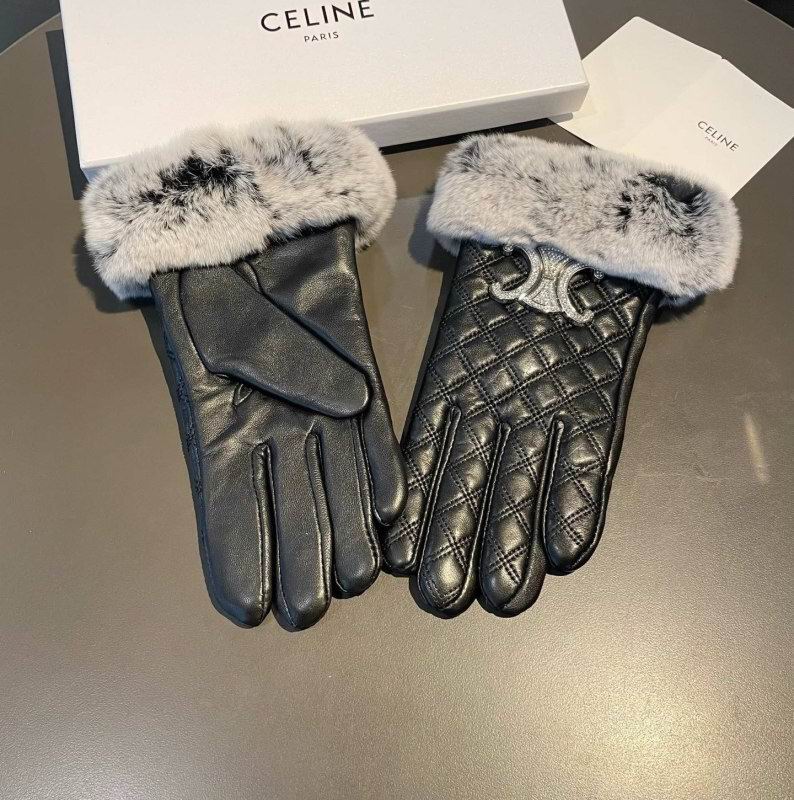 Celine Gloves hm (39)