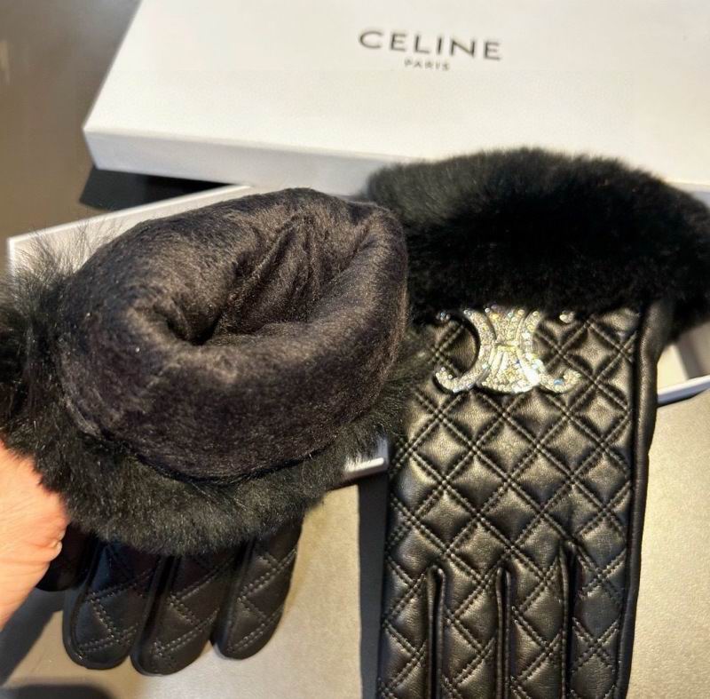 Celine Gloves hm (42)