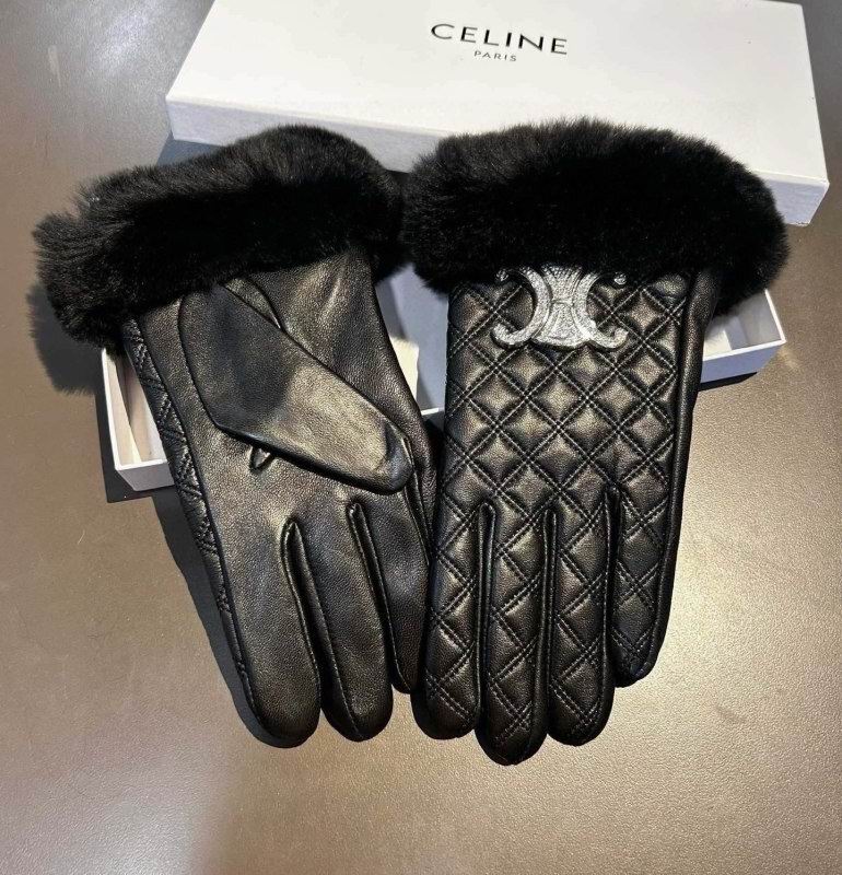 Celine Gloves hm (43)