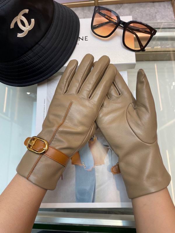 Celine Gloves hm (48)