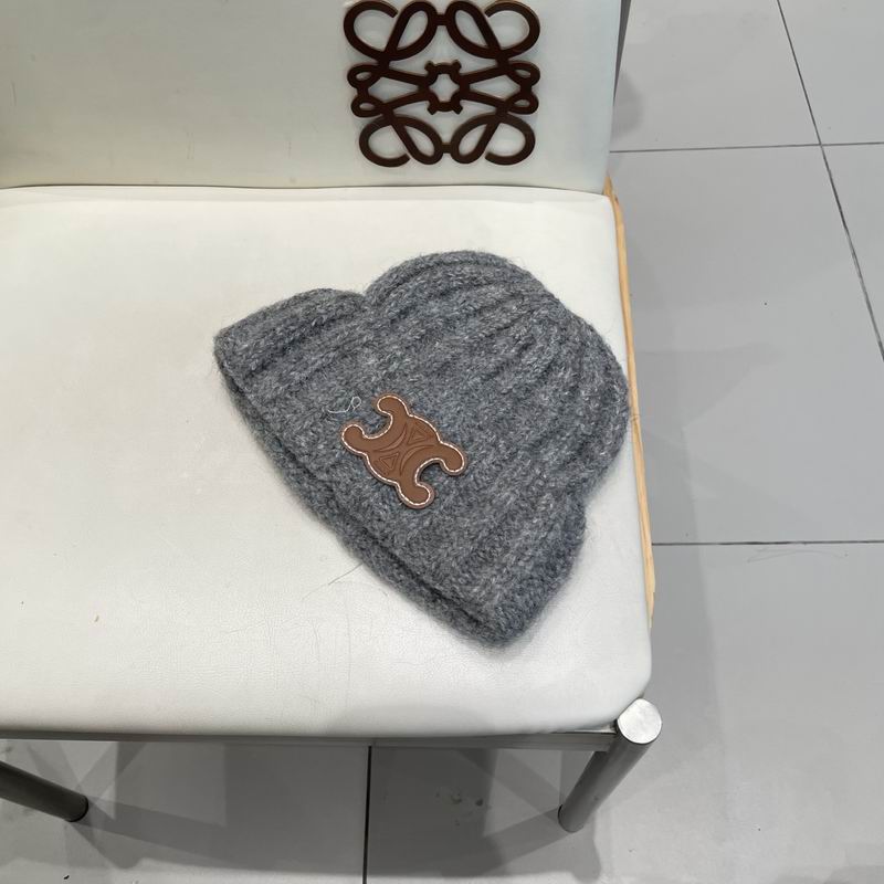 Celine hat (149)