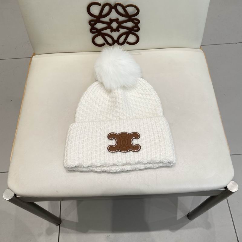 Celine hat (2245)