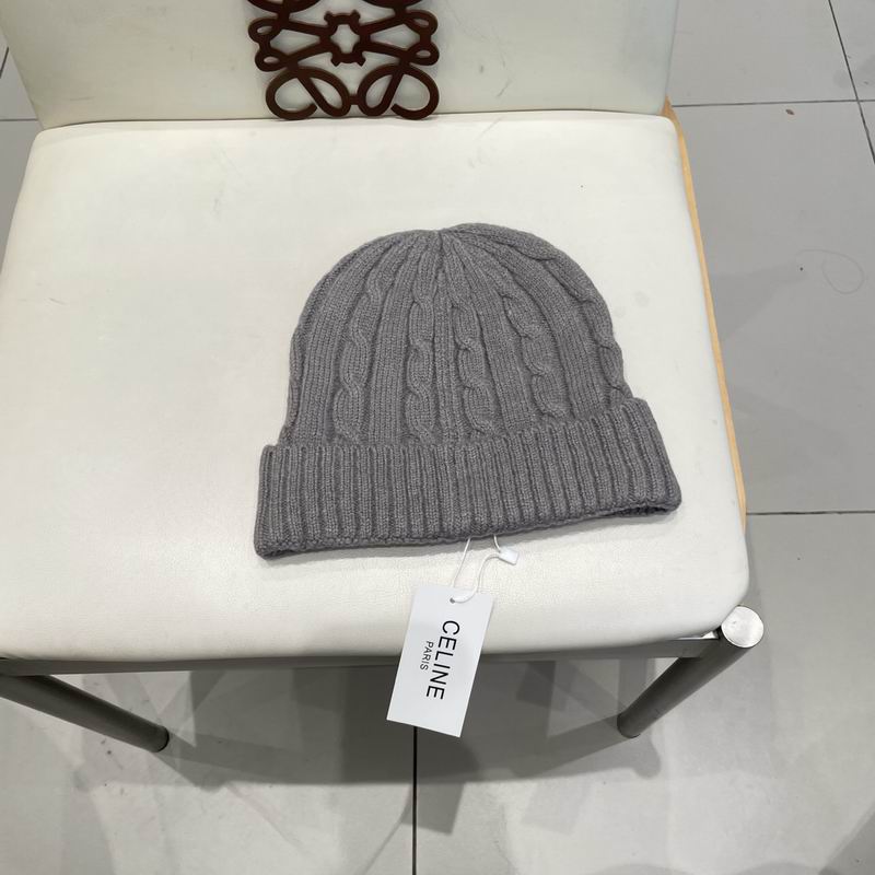 Celine hat (2489)