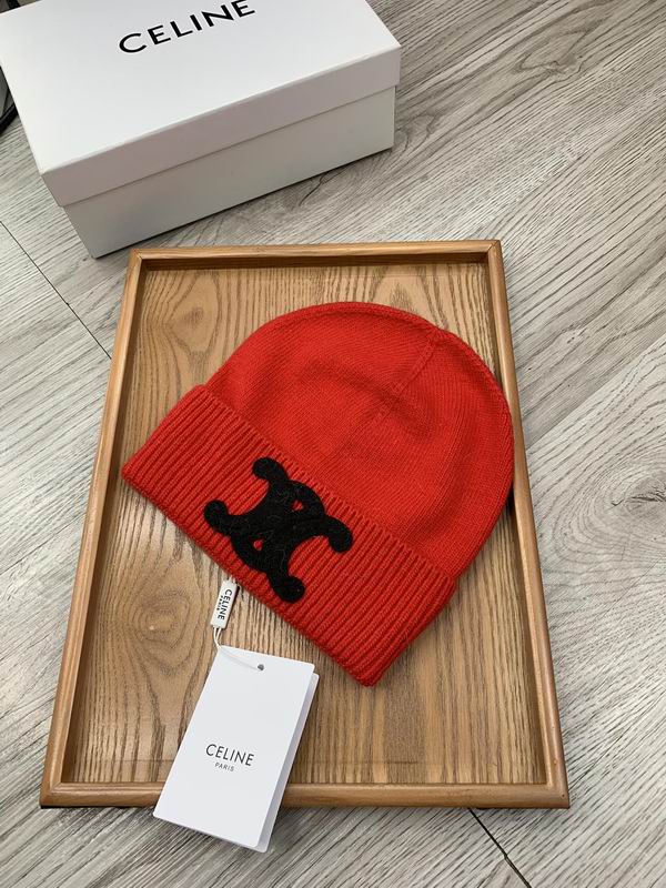 Celine hat dx (639)