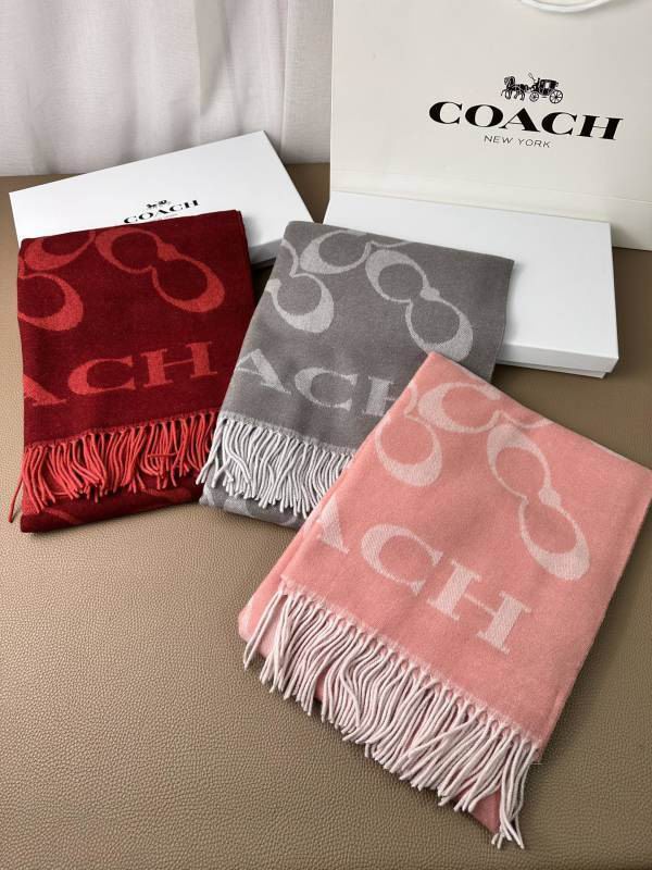 Coach scarf hm (1)