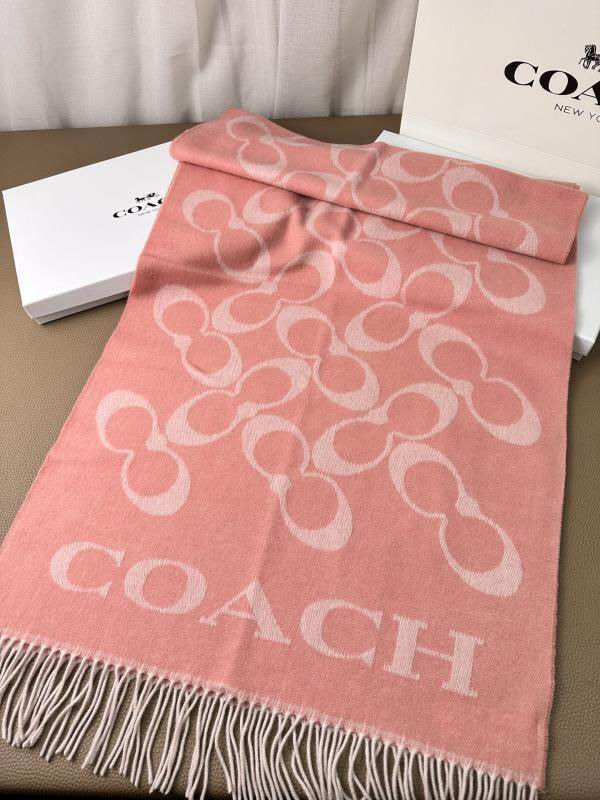 Coach scarf hm (10)