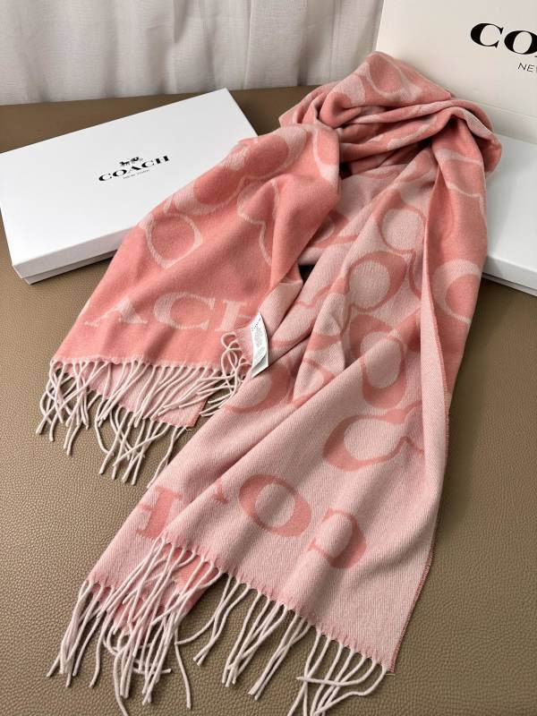 Coach scarf hm (11)