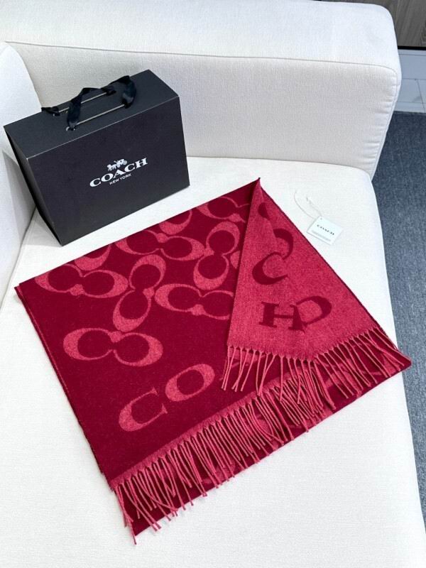 Coach scarf hm (12)