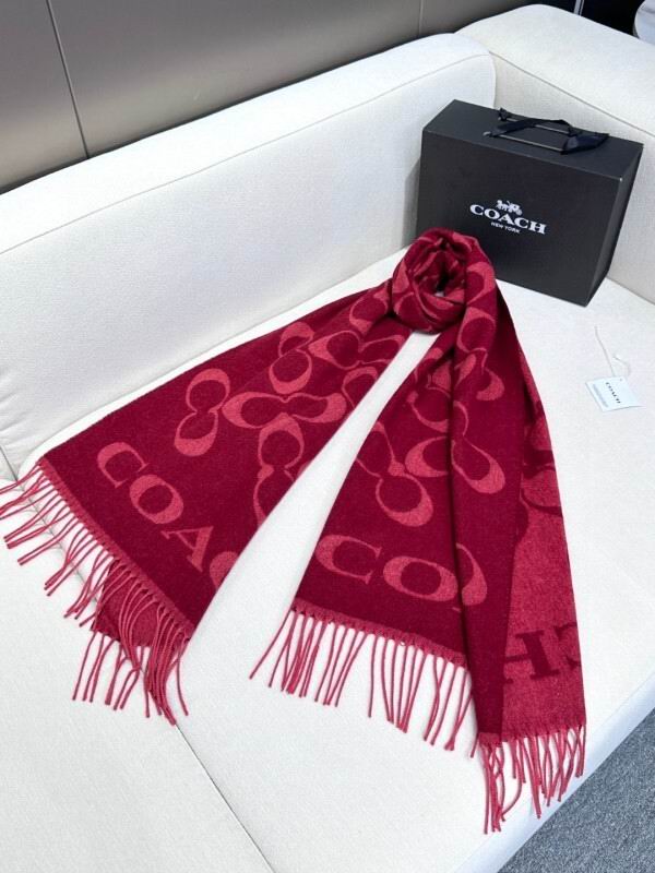 Coach scarf hm (14)