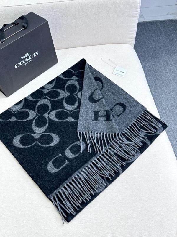 Coach scarf hm (15)