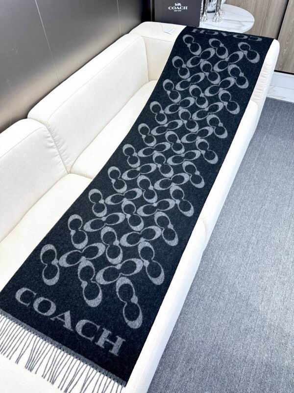 Coach scarf hm (16)