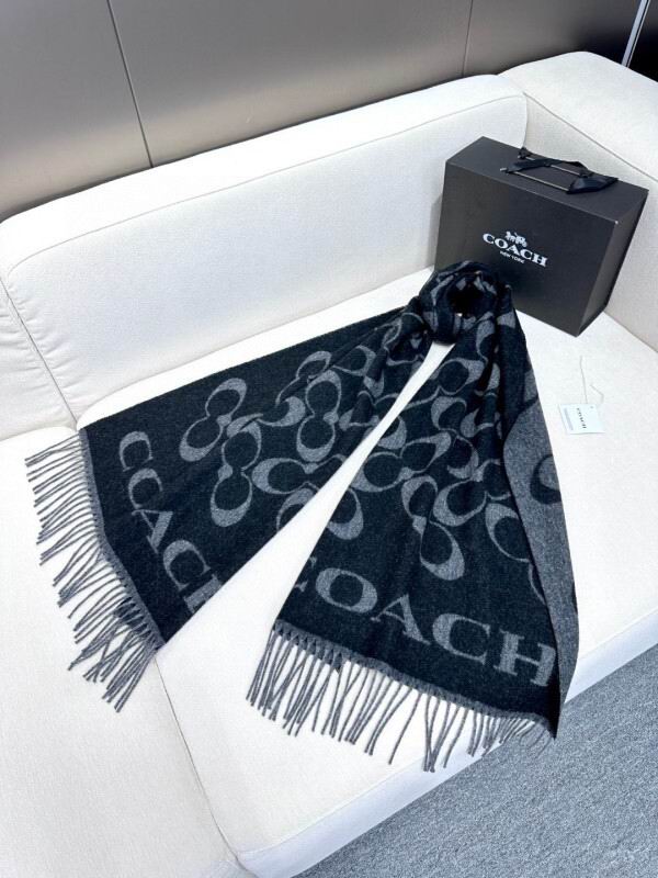 Coach scarf hm (17)