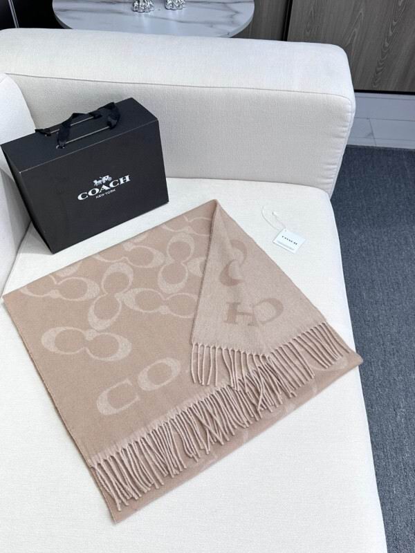 Coach scarf hm (18)