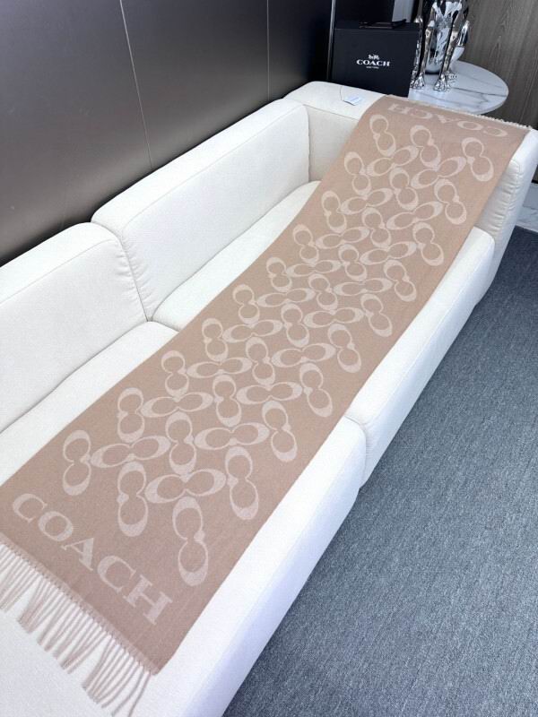Coach scarf hm (19)