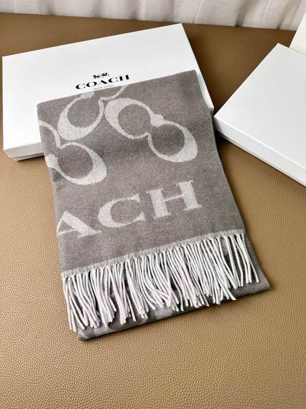 Coach scarf hm (2)