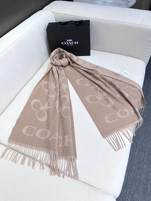 Coach scarf hm (20)