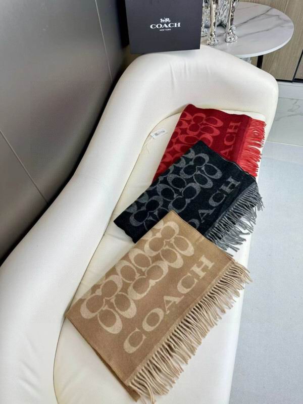 Coach scarf hm (21)