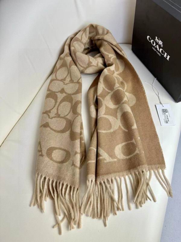 Coach scarf hm (23)