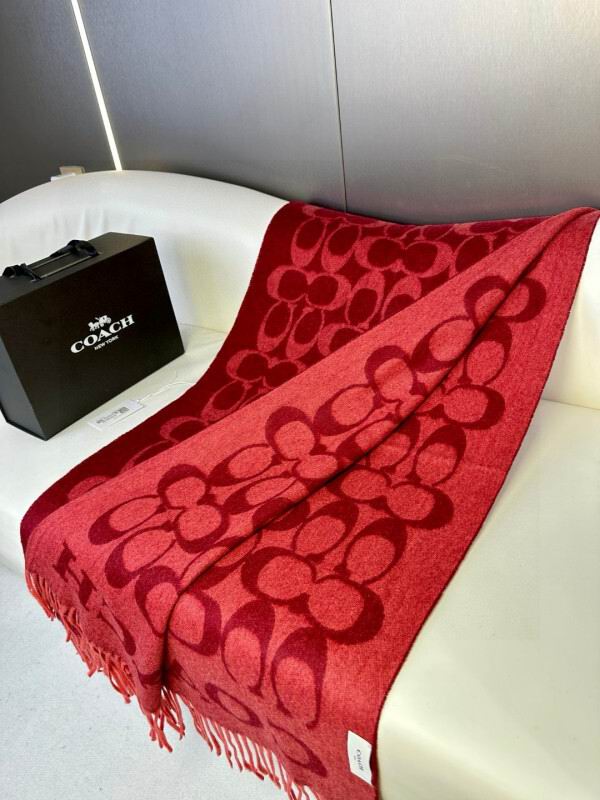 Coach scarf hm (24)