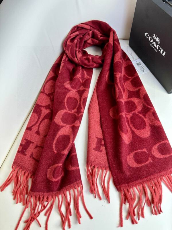 Coach scarf hm (25)