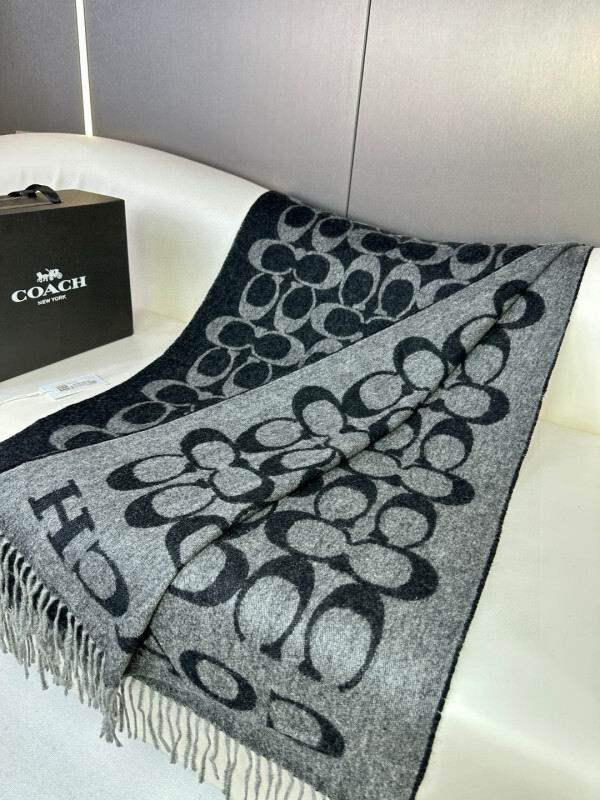 Coach scarf hm (26)