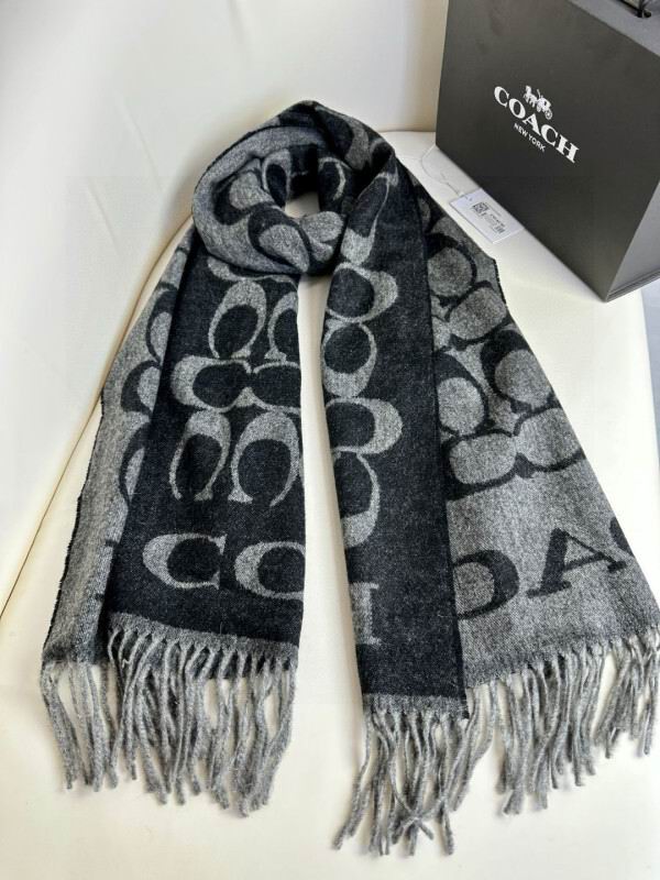 Coach scarf hm (27)