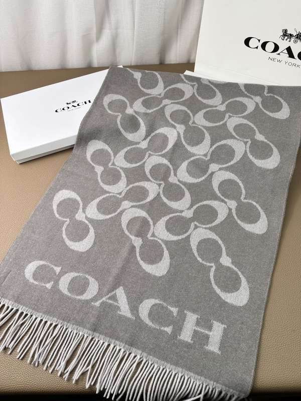 Coach scarf hm (3)
