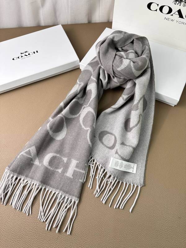 Coach scarf hm (4)